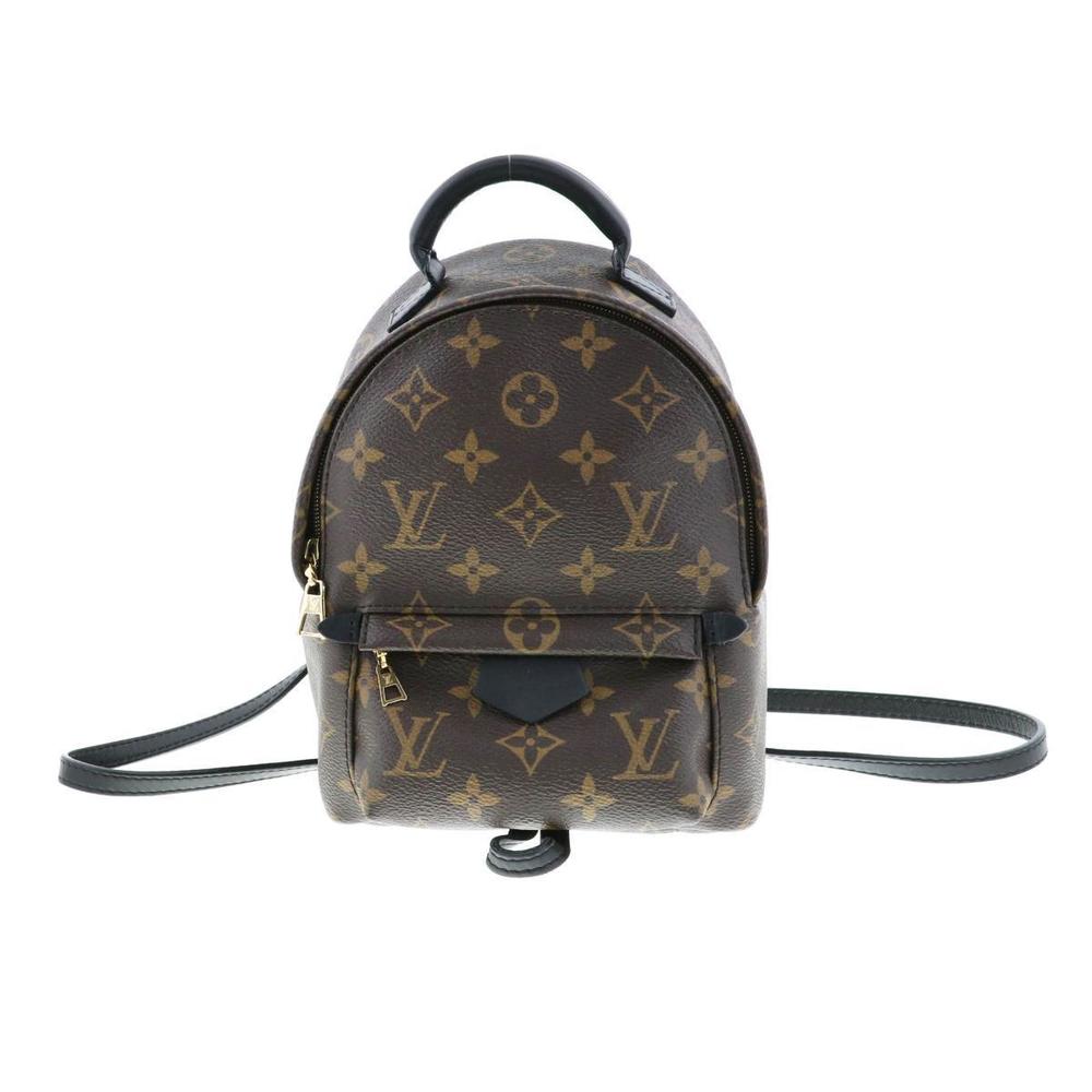 Louis Vuitton Palm Springs Monogram Backpack